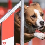 Interview with Jasmijn Beun