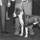 The Ruffians - Part 2