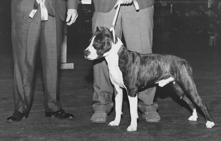 The Ruffians - Deel 2