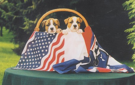 Artikel Hondenmanieren 2001