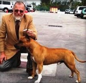 Ch. Willynwood Rockefeller