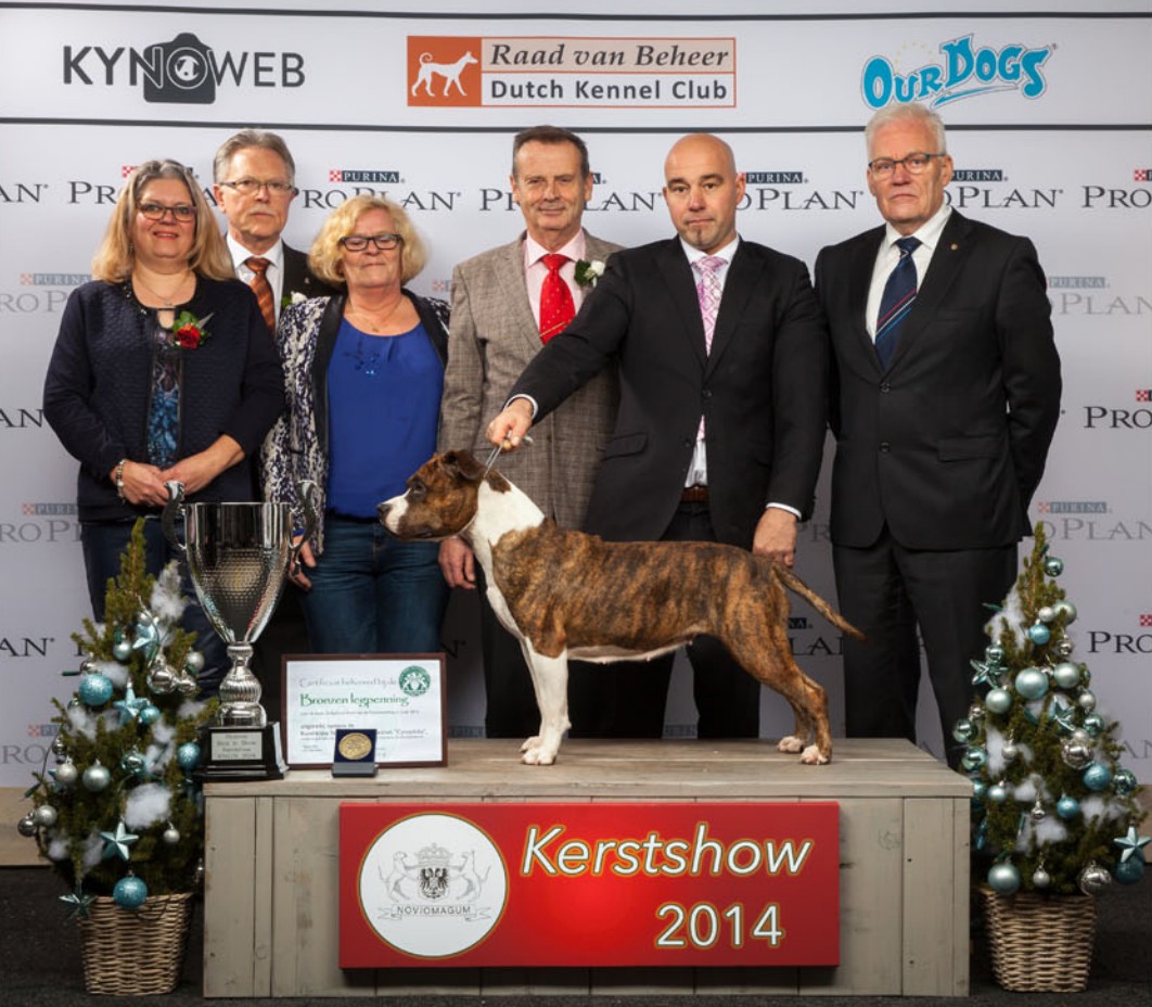 Christmas show 2014