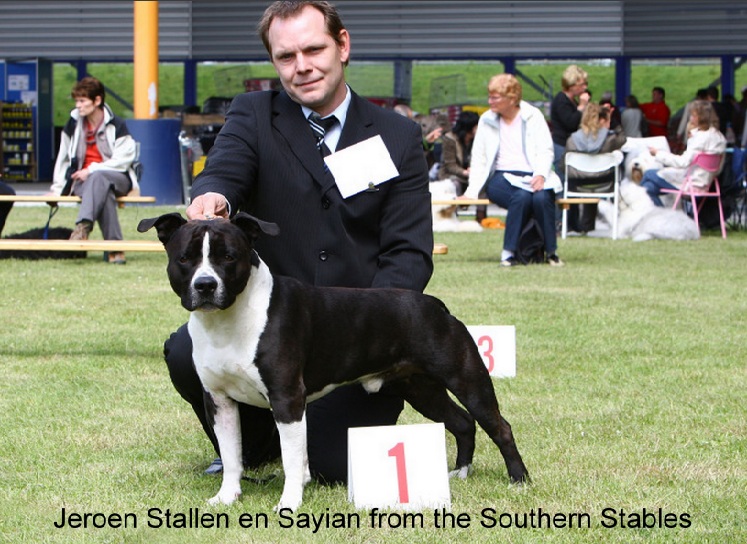 Sayian from the Southern Stables