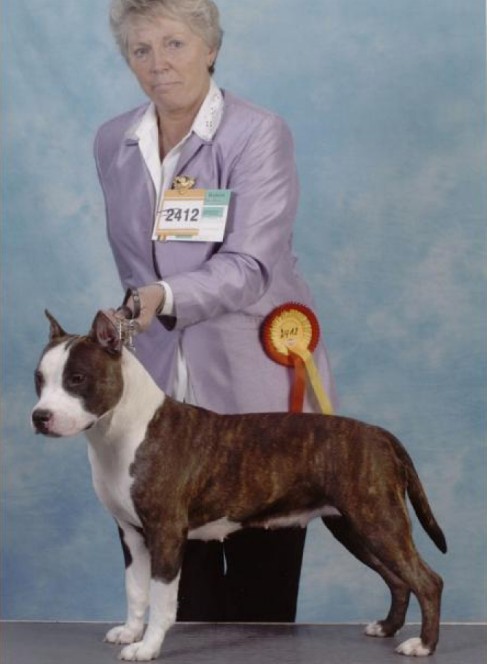 WW05 en WW07 MCh. Absolute Wild On Texas Michelle