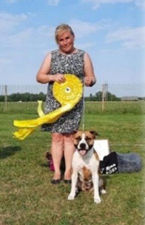 Een Hullabaloo's Kennel AmStaff