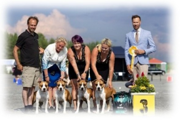 Winnaars uit het fokprogramma van Hullabaloo's Kennel