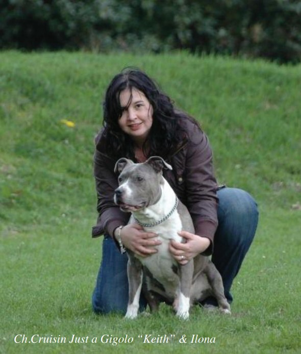 Ch. Cruisin Just A Gigolo