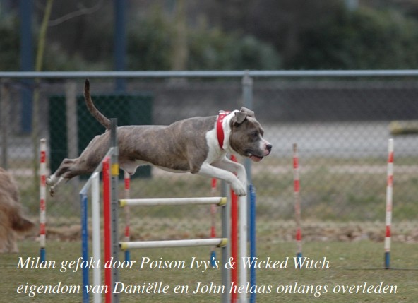 Milan van Poison Ivy's & Wicked Witch