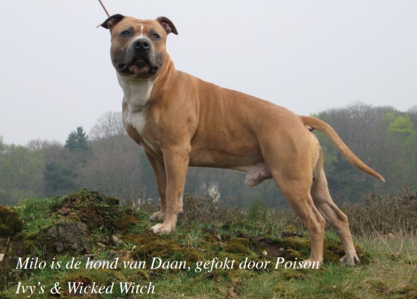 Milo van Poison Ivy's & Wicked Witch