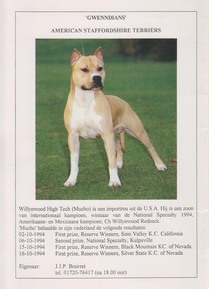 Gwenndians advertentie met Ch. Willynwood High-Tech (Mucho) en showresultaten