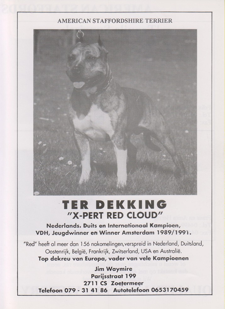 X-Pert Red Cloud Stud service advertisement with titles and information from about Jim Waymire