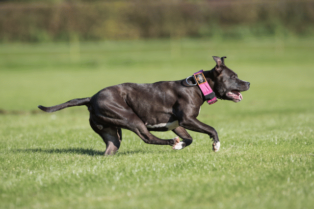 Bo4I7996 29932586943 O