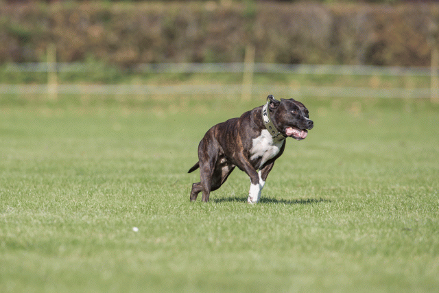 Bo4I7953 29932595073 O