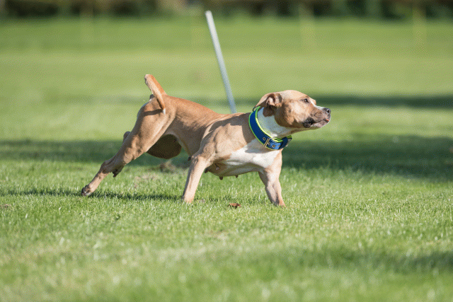 Bo4I7940 29932597623 O