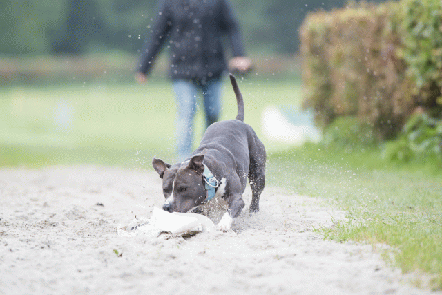 Bo4I7921 29932604313 O