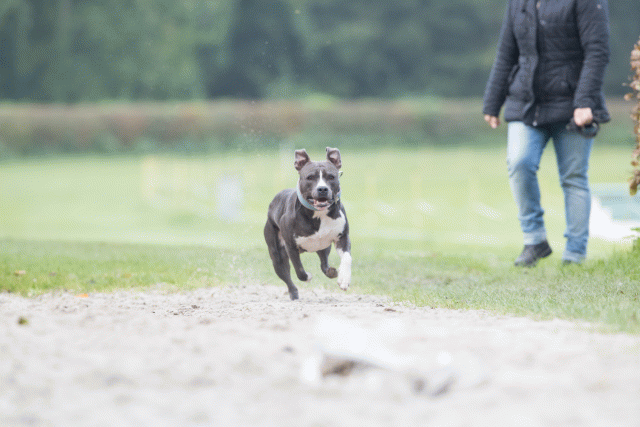 Bo4I7913 29932609223 O