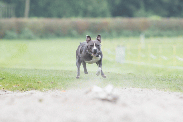 Bo4I7910 29932609473 O