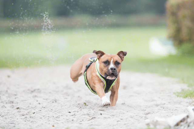 Bo4I7904 29932610533 O