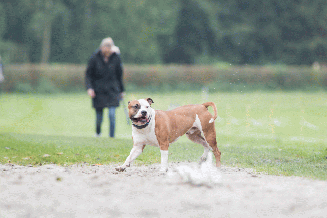 Bo4I7873 29932616863 O