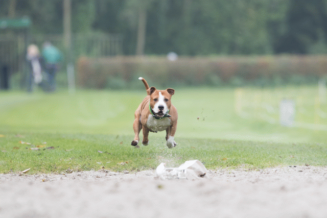 Bo4I7854 29932622913 O