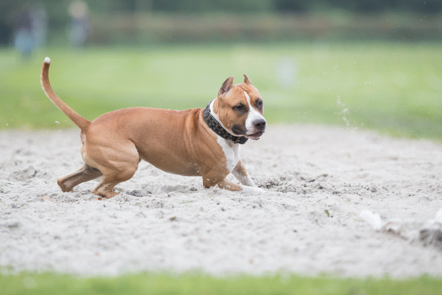 Bo4I7812 29932627873 O