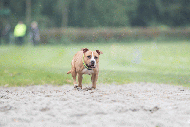 Bo4I7794 29932630143 O