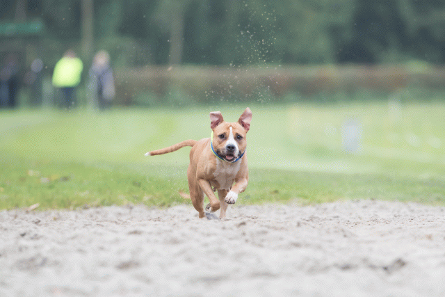 Bo4I7793 29932630693 O