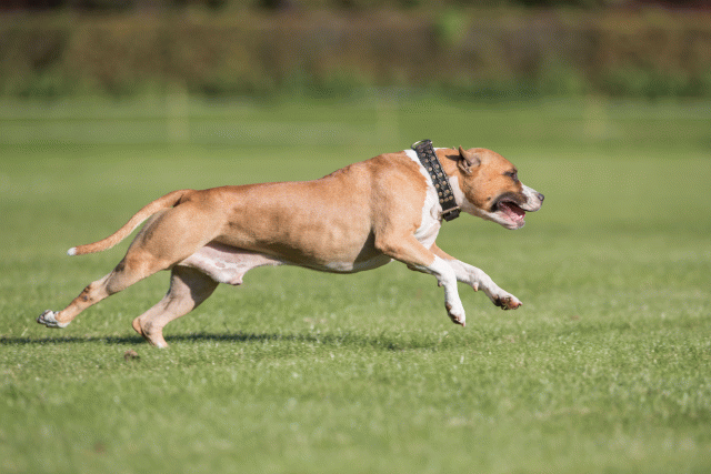 Bo4I8132 29934900934 O