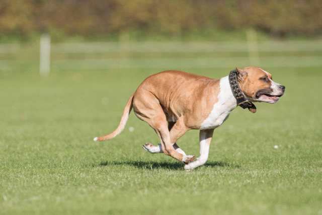 Bo4I8128 29934902494 O