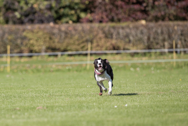 Bo4I8000 29934929714 O