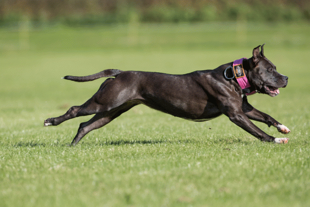 Bo4I7995 29934930944 O