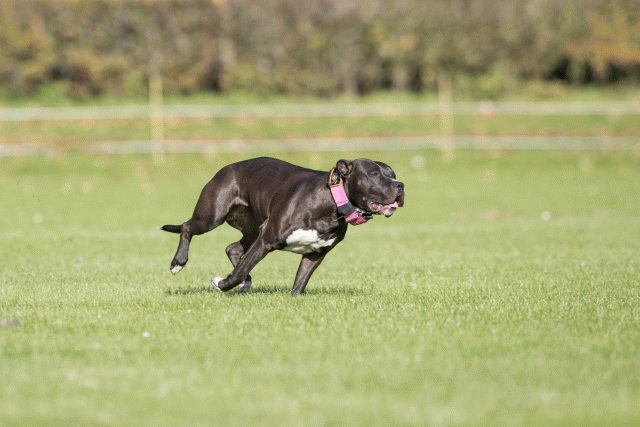 Bo4I7989 29934931774 O