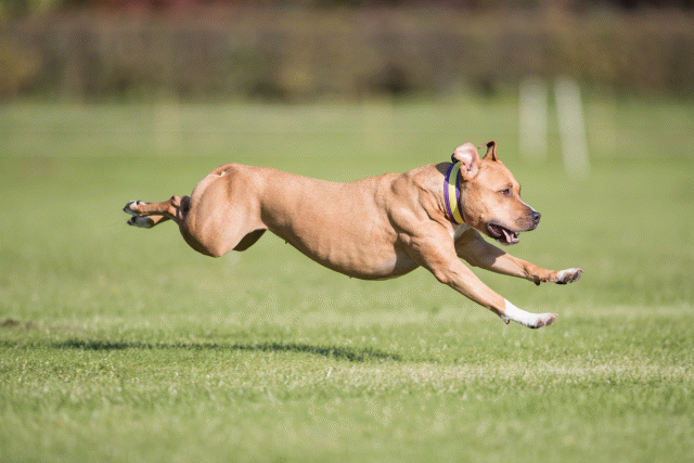 Bo4I7983 29934933364 O