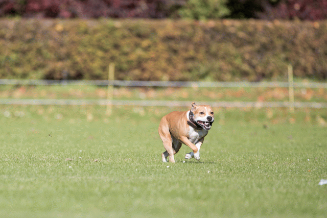 Bo4I7964 29934935954 O