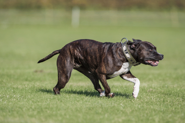 Bo4I7959 29934936764 O