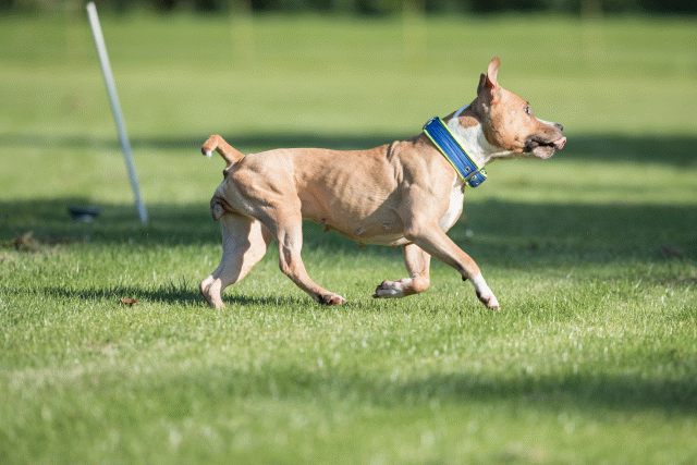 Bo4I7941 29934940224 O