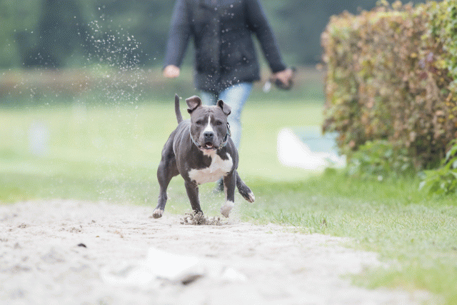 Bo4I7917 29934946554 O