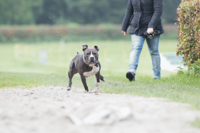 Bo4I7914 29934946984 O