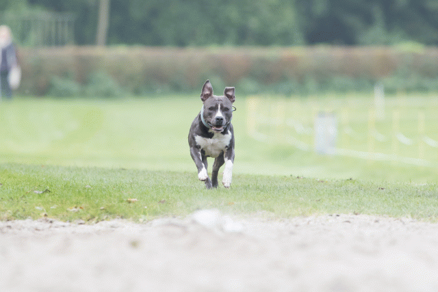 Bo4I7909 29934948204 O