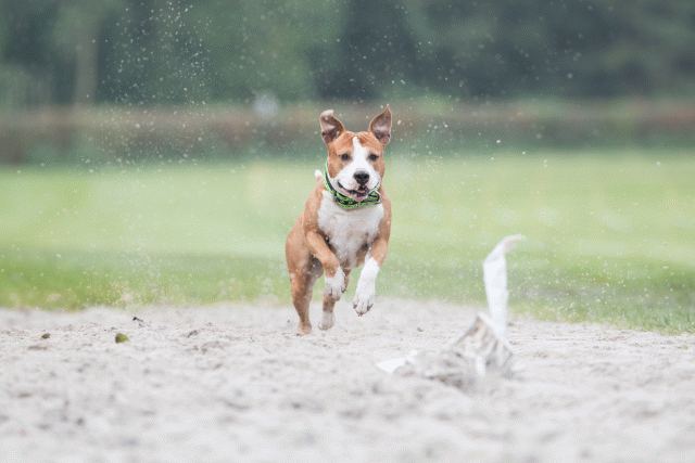 Bo4I7859 29934956044 O