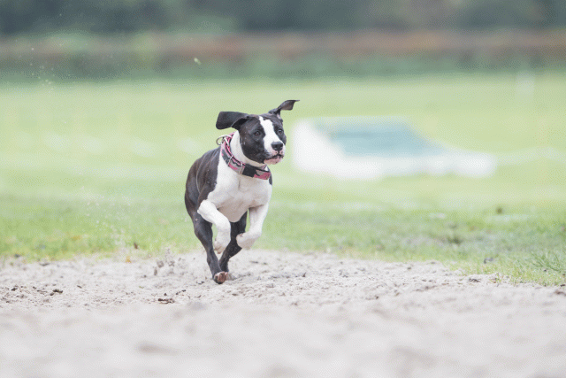 Bo4I7728 29934974024 O