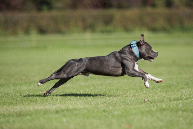 Bo4I8119 30267174710 O