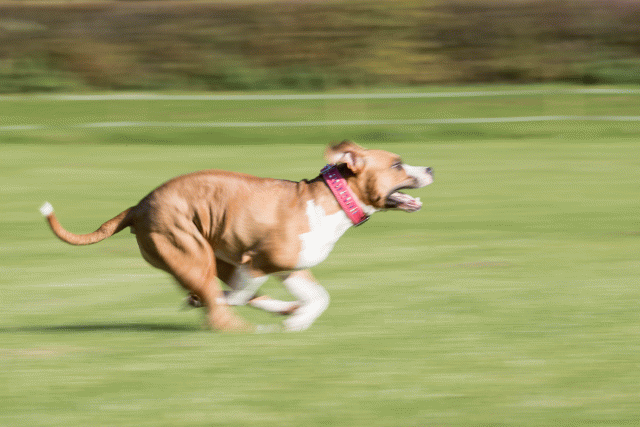 Bo4I8071 30267183590 O