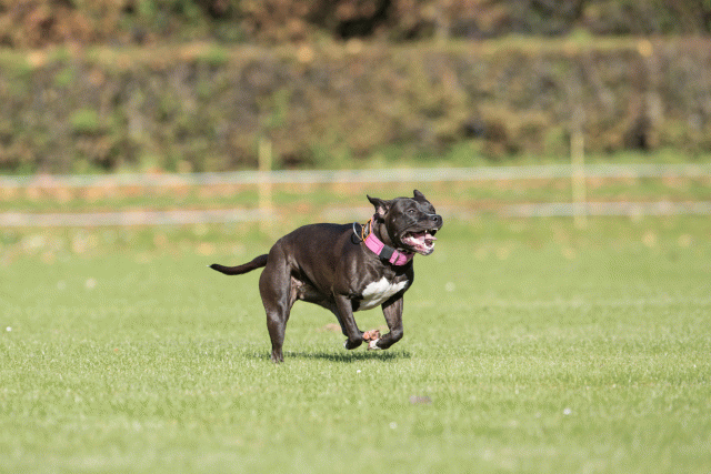 Bo4I7988 30267190090 O