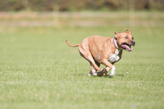 Bo4I7979 30267191610 O