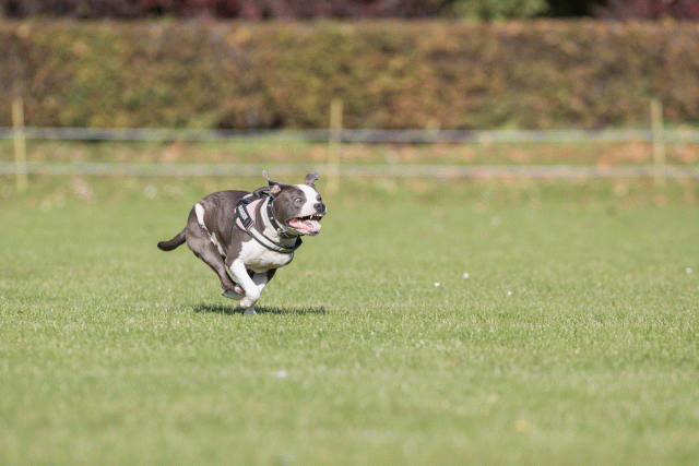 Bo4I7944 30267195020 O