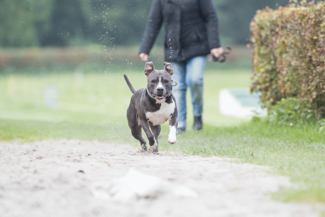 Bo4I7916 30267201430 O