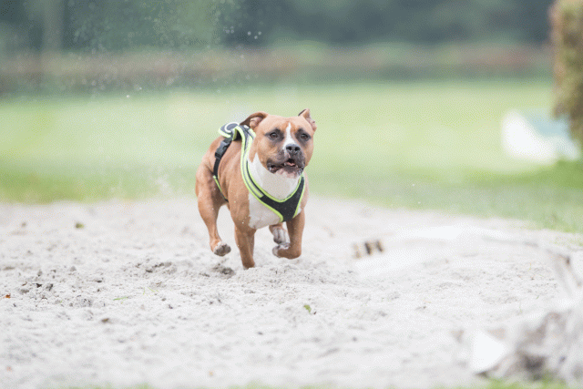 Bo4I7903 30267203070 O