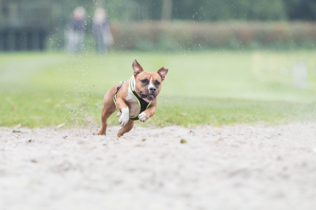 Bo4I7899 30267204200 O