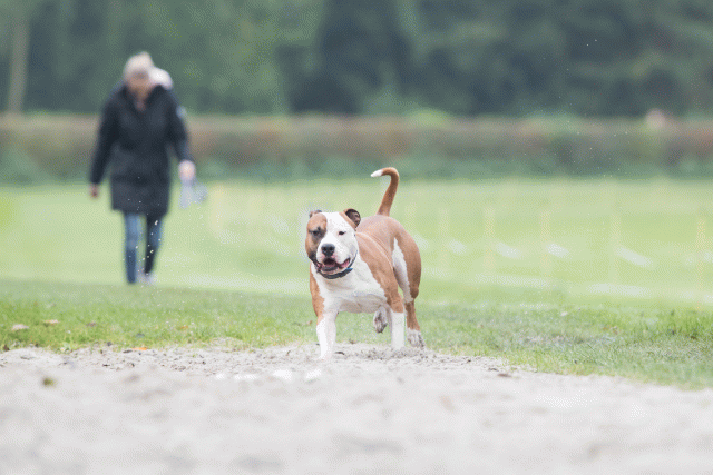 Bo4I7871 30267206720 O